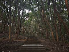 -赭山公园