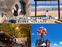 -巧克力渔家.小船海鲜家常菜(万平口店)