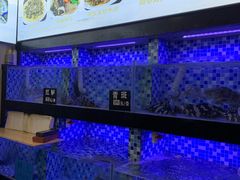 -莲花公园煎蟹(总店)