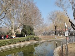 -康庄公园