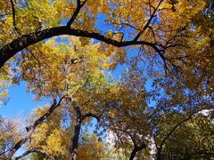 -元大都城垣遗址公园