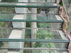 -十渡高山漂流