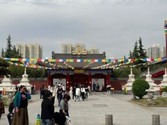 -安多素食(广仁寺路店)