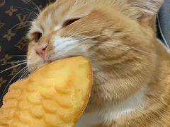 -BREAD WAY面包路·欧式面包(龙湖时代D馆店)