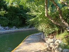 -团结湖公园