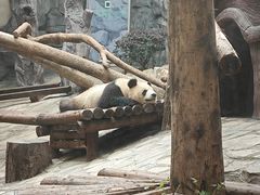 -乐和乐都主题乐园
