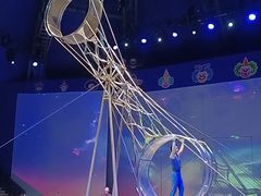 -上海马戏城
