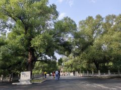 -北陵公园