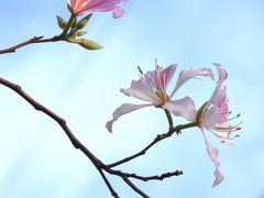 -南丰汇(新港东路店)