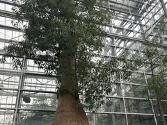 -南山植物园