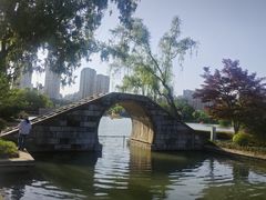 -青枫公园