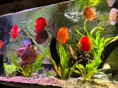 -上海海洋水族馆