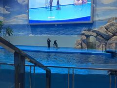 -福州罗源湾海洋世界旅游区