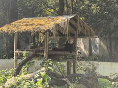 -杭州少年儿童公园
