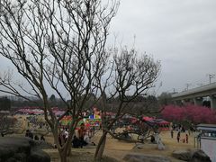 -秀丽东方