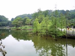 -广州市帽峰山景区