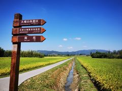 -良渚古城遗址公园