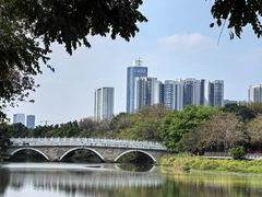 -海珠湖公园
