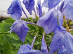 -艾溪湖湿地公园