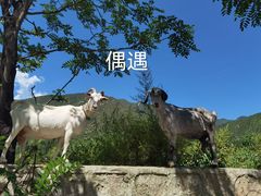 -古崖居风景名胜区