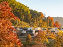 -塔川景区