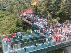 -梦幻奥陶纪景区