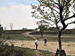 -盘龙城国家考古遗址公园