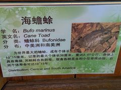 -上海大自然野生昆虫馆(东方明珠·爬宠昆虫探索中心)