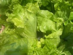 -老员外骨汤火锅(海州古城店)