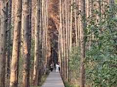 -同里国家湿地公园
