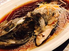 -御龙宴