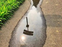-马家湾湿地公园