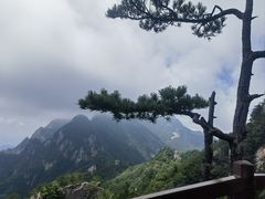 -王顺山国家森林公园