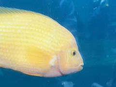 -珠海长隆海洋王国