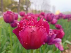 -玄武湖景区-情侣园游乐场