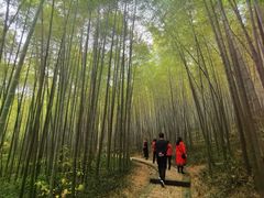 -南山风景名胜区