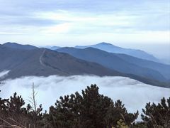 -安吉龙王山风景区