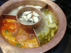 -老诚一锅羊蝎子(黄寺大街店)