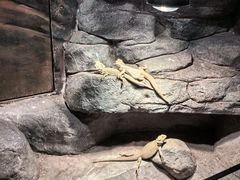 -福州罗源湾海洋世界旅游区