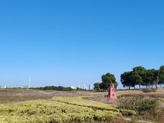 -苏州湾体育公园