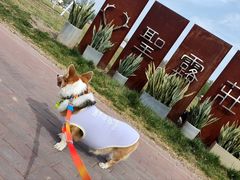 -圣露庄园·亲子活动乐园·露营·团建婚礼