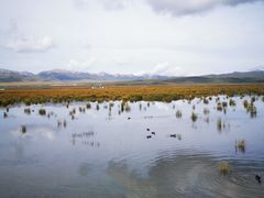 -花湖生态旅游区