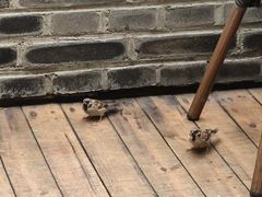 -砂唐居(总店)