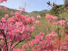 -木兰云雾山