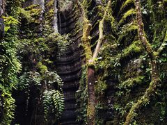 -梭布垭石林景区