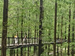 -黄海国家森林公园