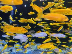 -成都浩海立方海洋公园