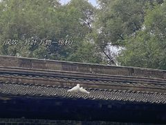 -西安大兴善寺