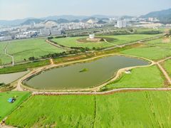 -光明小镇欢乐田园