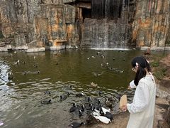 -海南热带野生动植物园